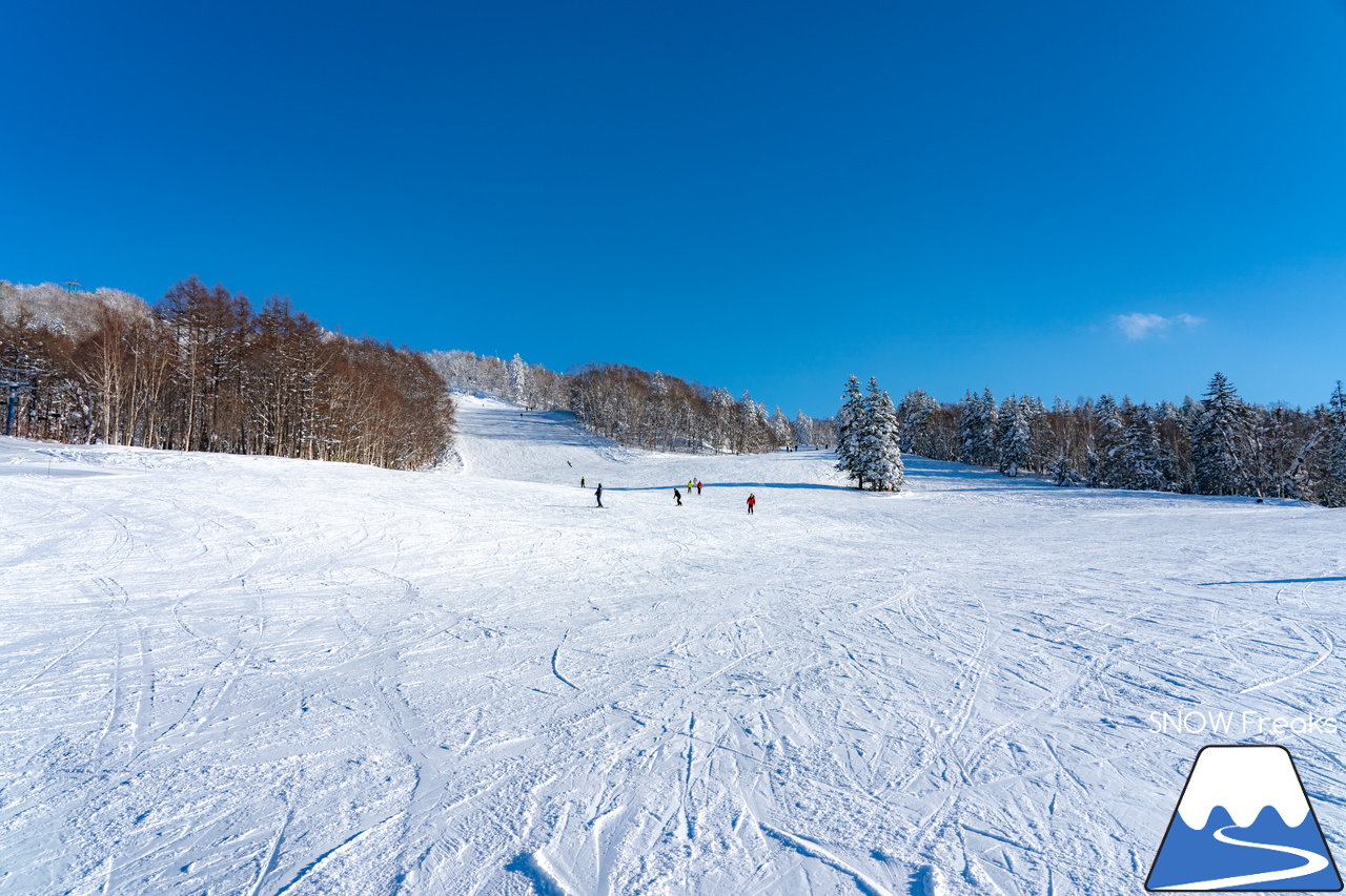 カムイスキーリンクス｜2024年の初滑りは、積雪豊富でコンディション抜群。日本最北のゴンドラリフトがある、旭川市のカムイスキーリンクスへ！